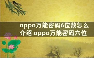 oppo万能密码6位数怎么介绍 oppo万能密码六位